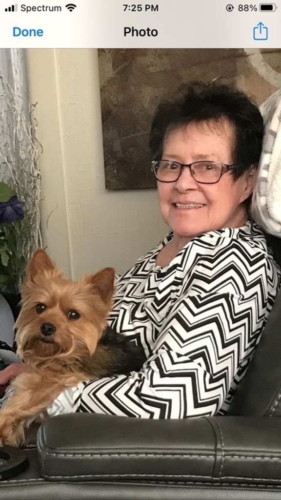 Rose Marie Verrall Profile Photo