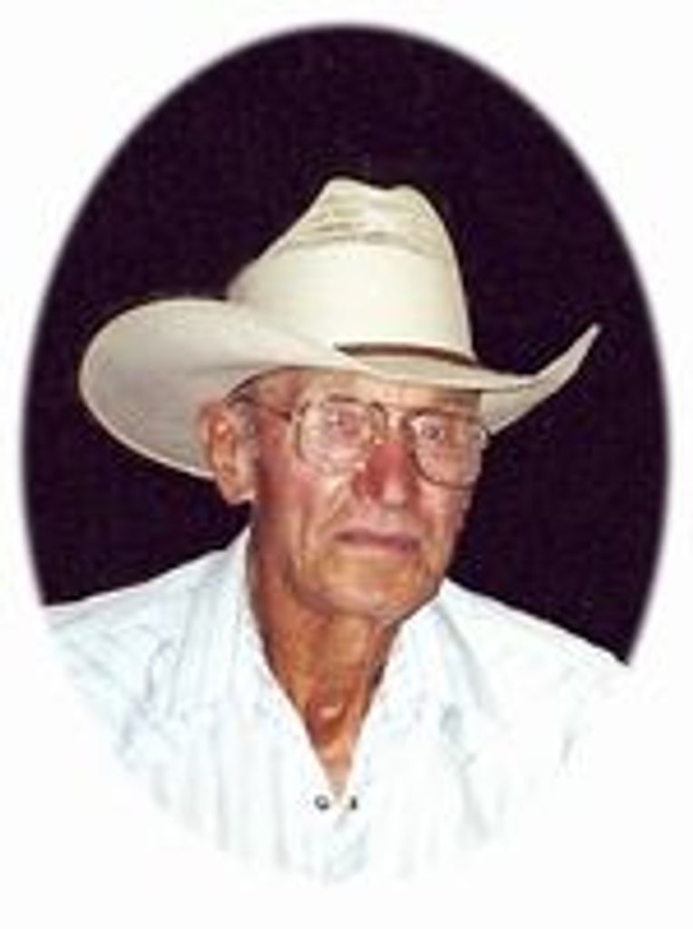 Stuart Milo Striegel