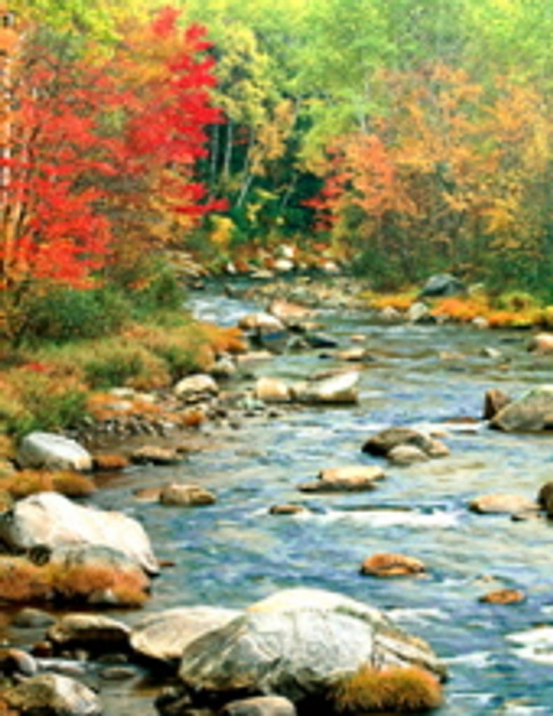 Eric Talbot Dawson