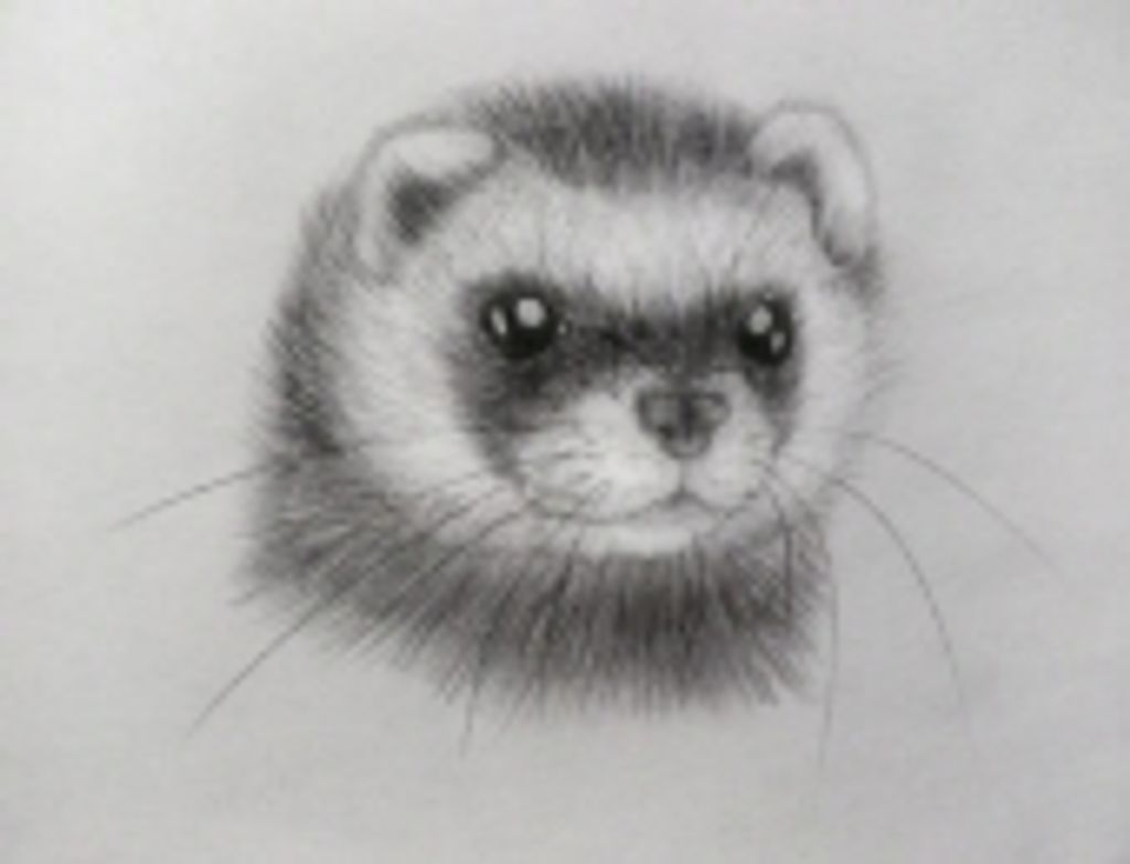 Rambo Hagan Profile Photo