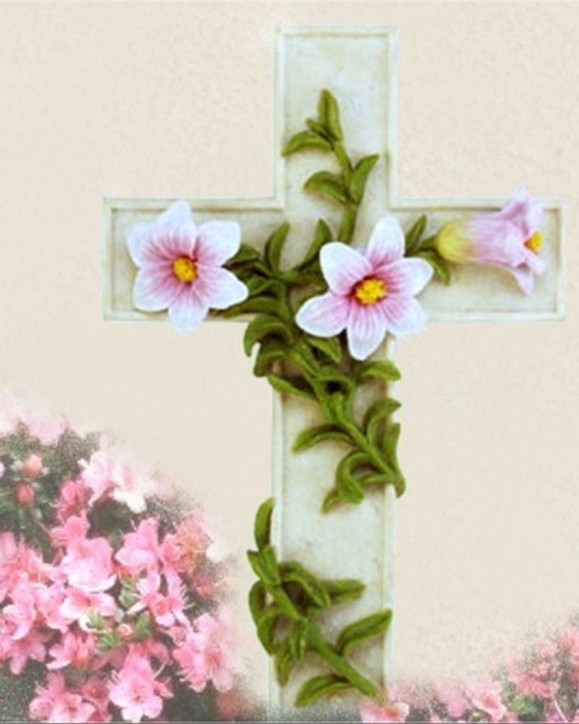 Catherine (Morris) Killoran Profile Photo