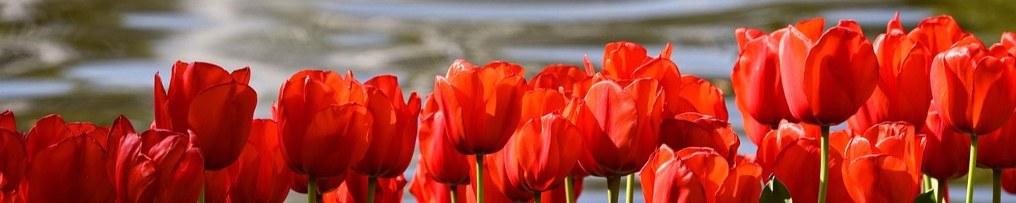 Cover photo for Margie Merriman's Obituary