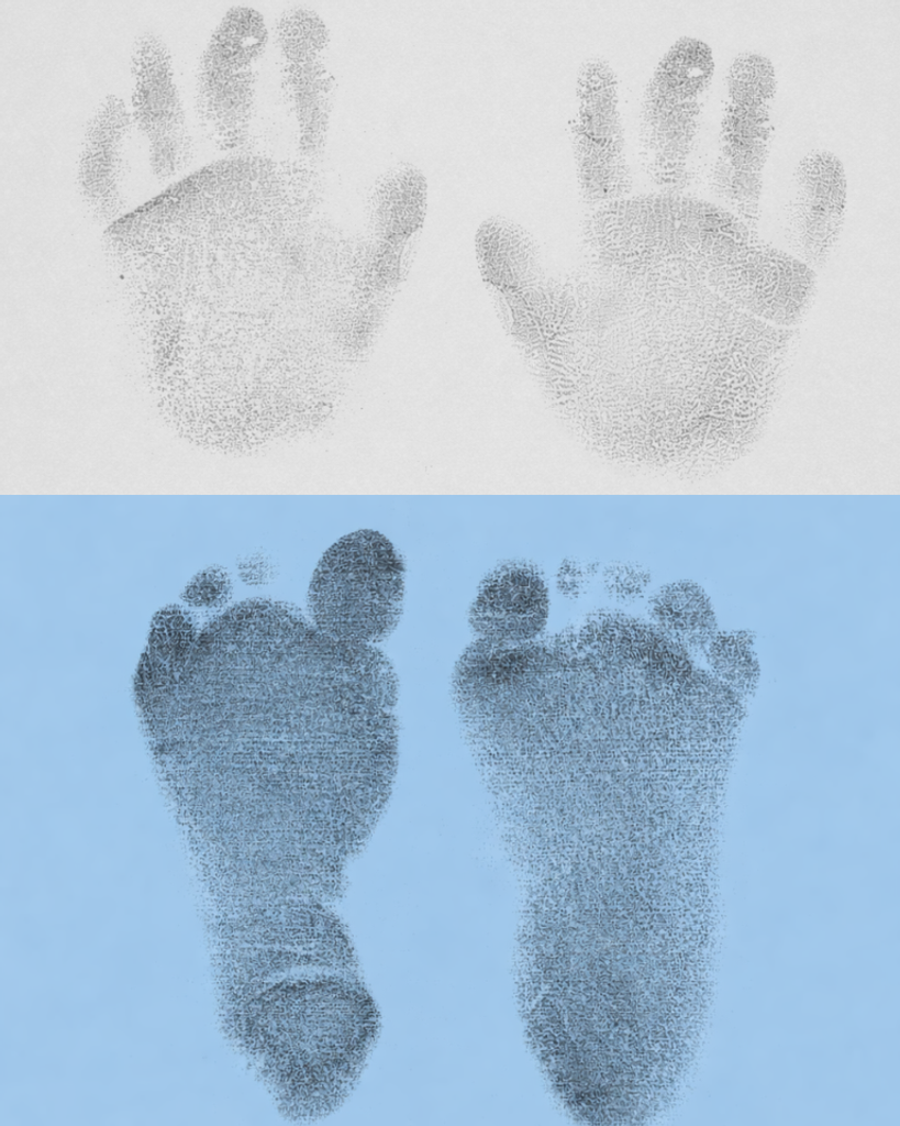 Nicholas Pierce Profile Photo