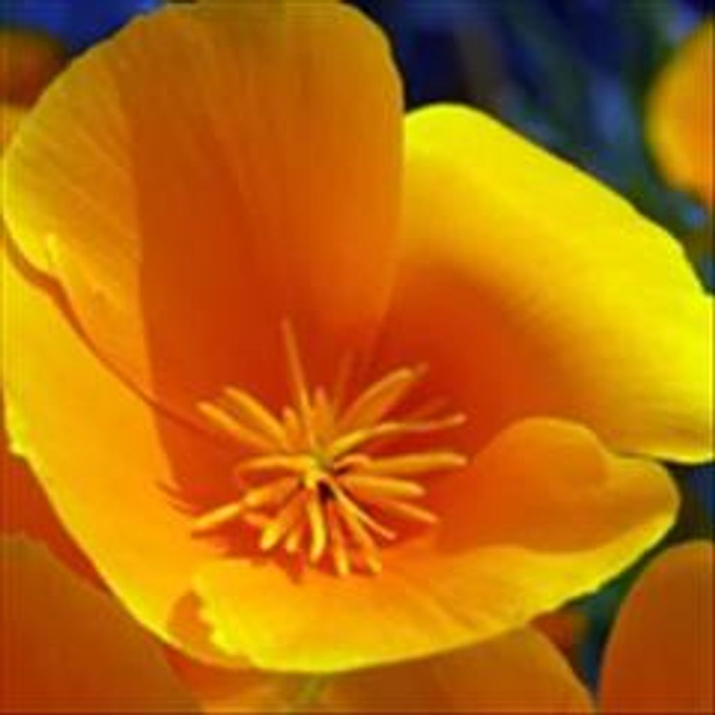 Marlene Ursula Le Starge Profile Photo