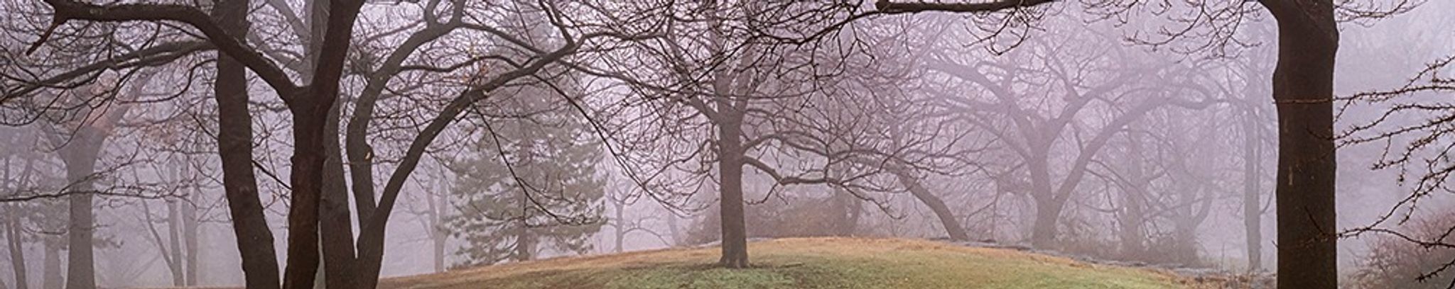 Cover photo for Becky Redenius's Obituary
