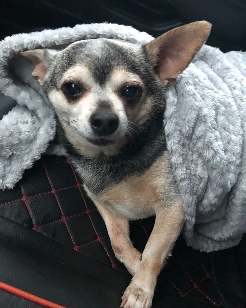 Scotch Valdez🖤 Profile Photo