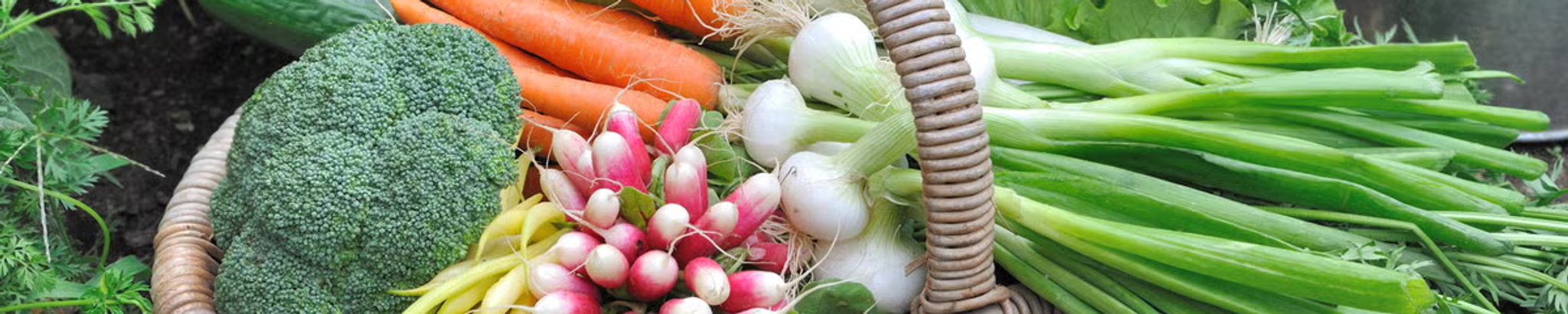 Cover for Lora Bowers's Obituary