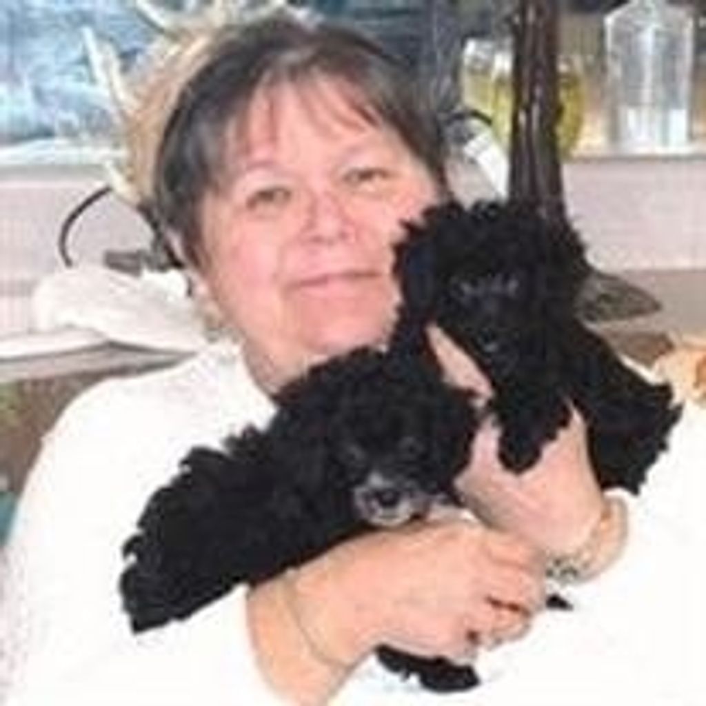 Tracy Lee Hopkins