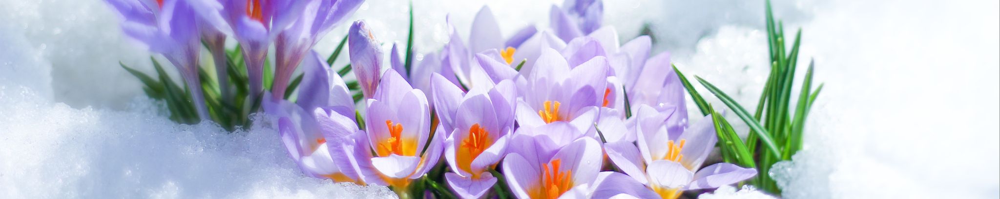 Cover photo for LaDez Marie Mell's Obituary