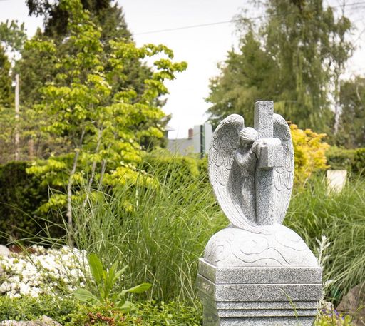 Dianne Bucellato Profile Photo