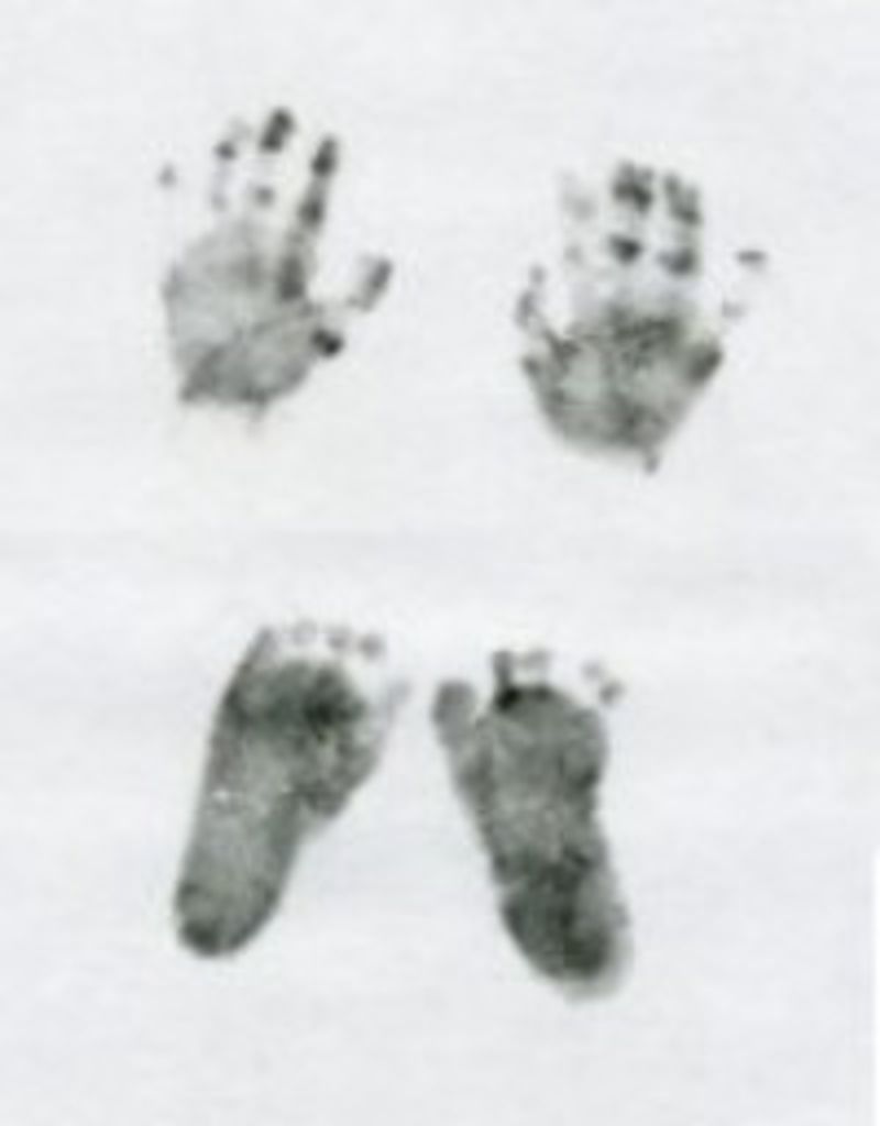 Amy Hansen