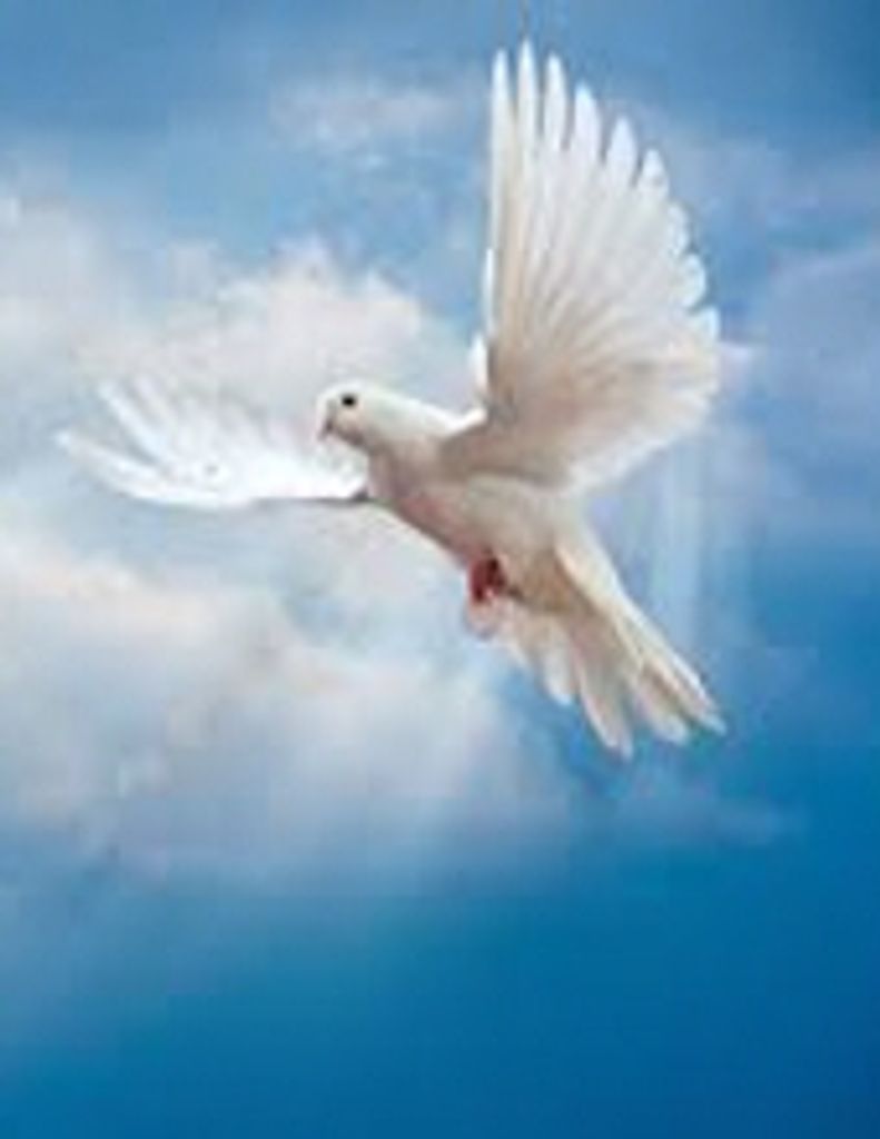 Frances 'Willine' Wilson Robinson