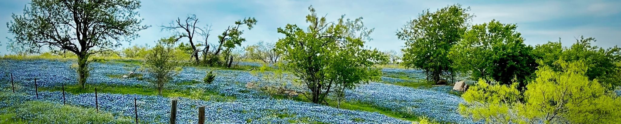 Cover photo for Annette Nixon Lasater's Obituary