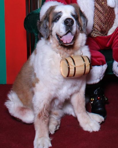 Zeus ?'s obituary image