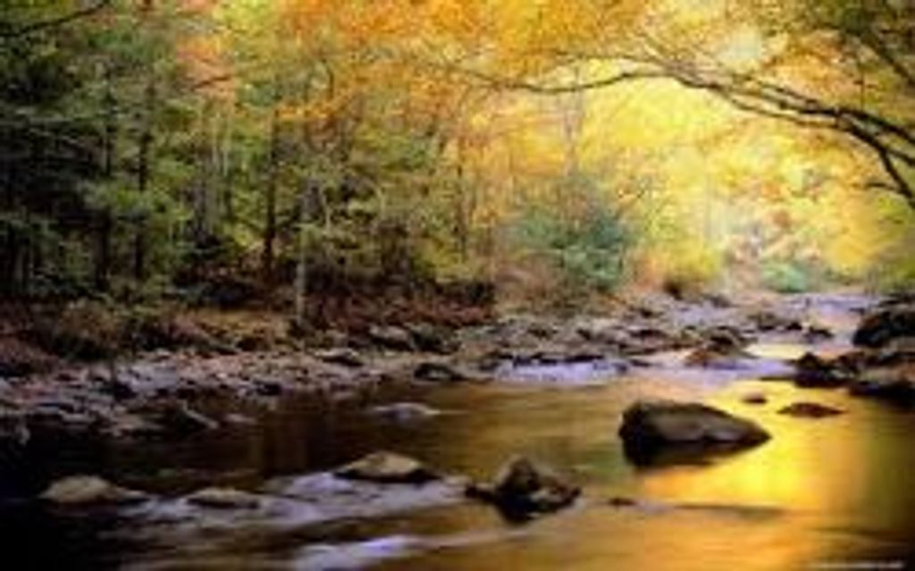 Bettie N. Buchanan Profile Photo