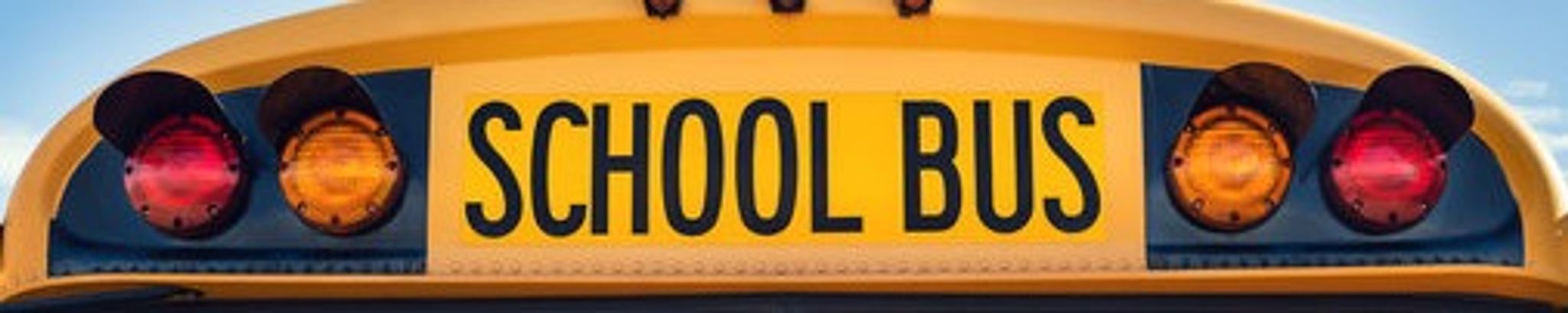 Cover for Anna V. Storr's Obituary