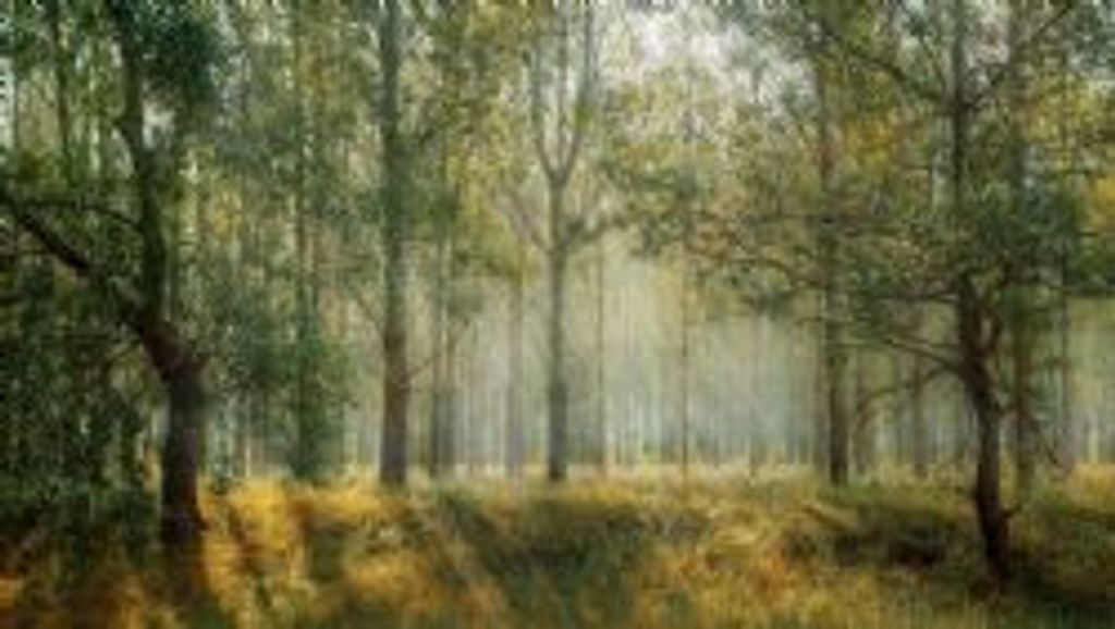 David Ray Gainey Profile Photo