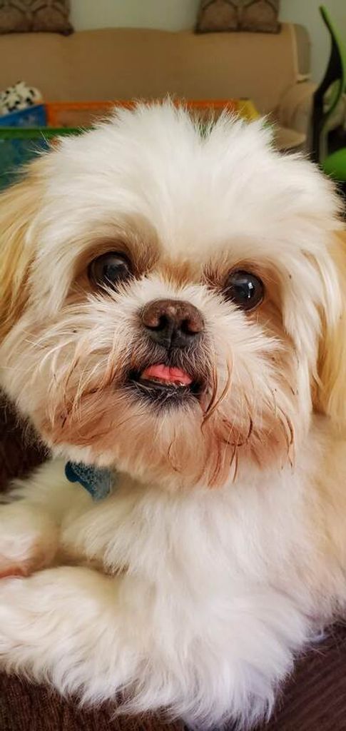 Cotton Denton Profile Photo