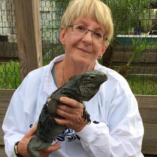 Jill Jollay Profile Photo