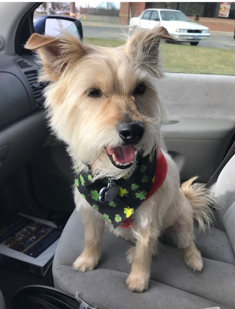 Caesar Profile Photo
