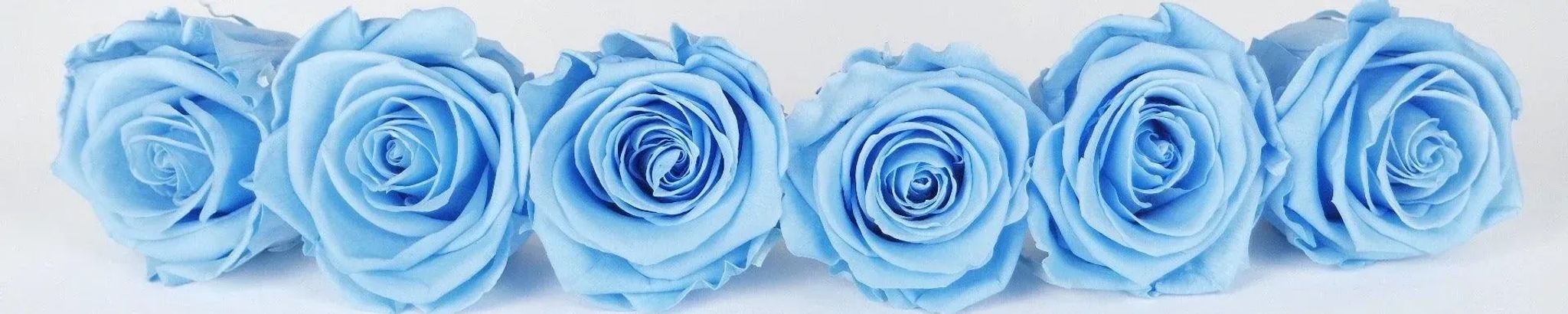 Cover photo for Emily Henderson's Obituary