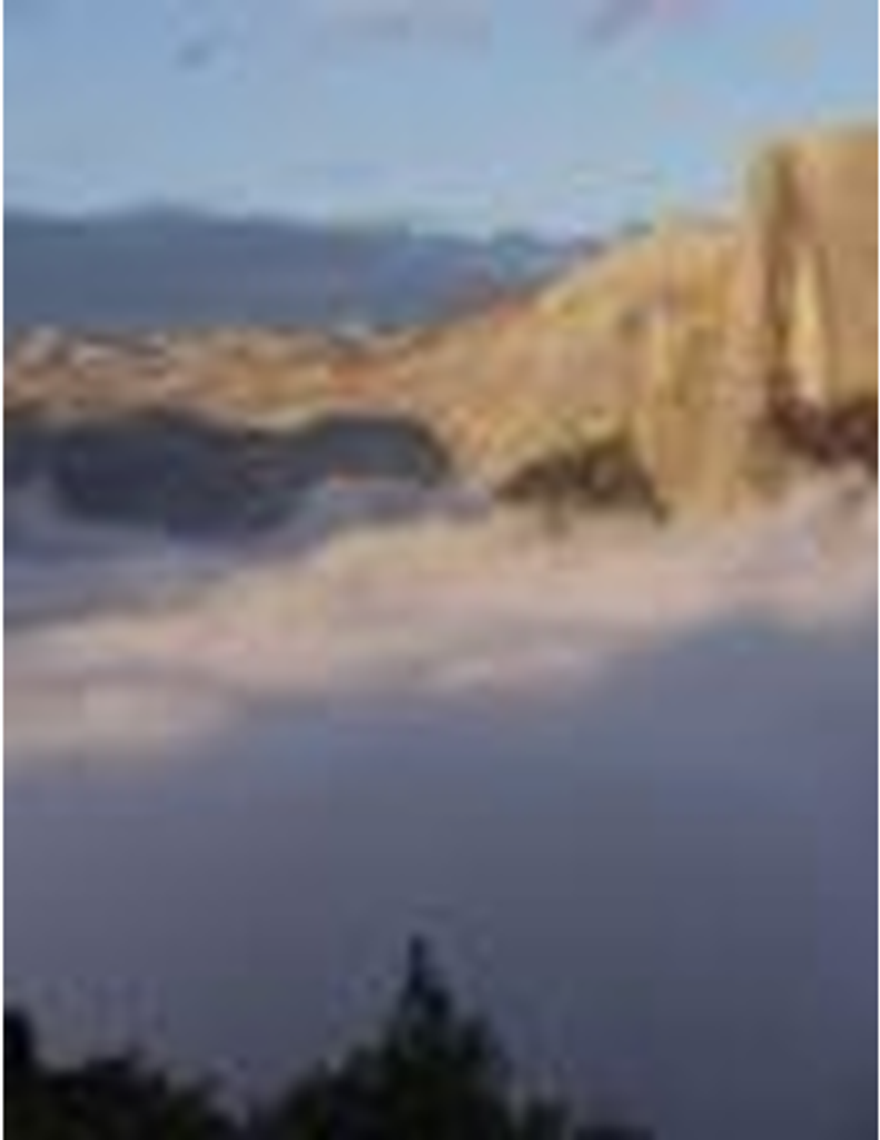 Marvin Lewis Mcentyre