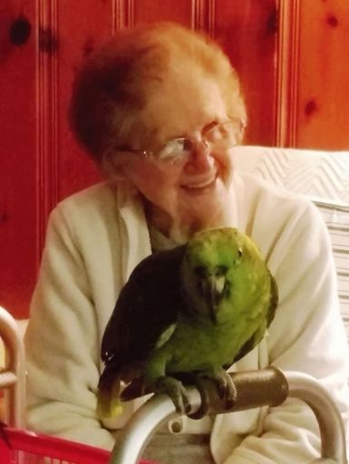 Photo of Loretta (Andrzejewski)  Wisniewski
