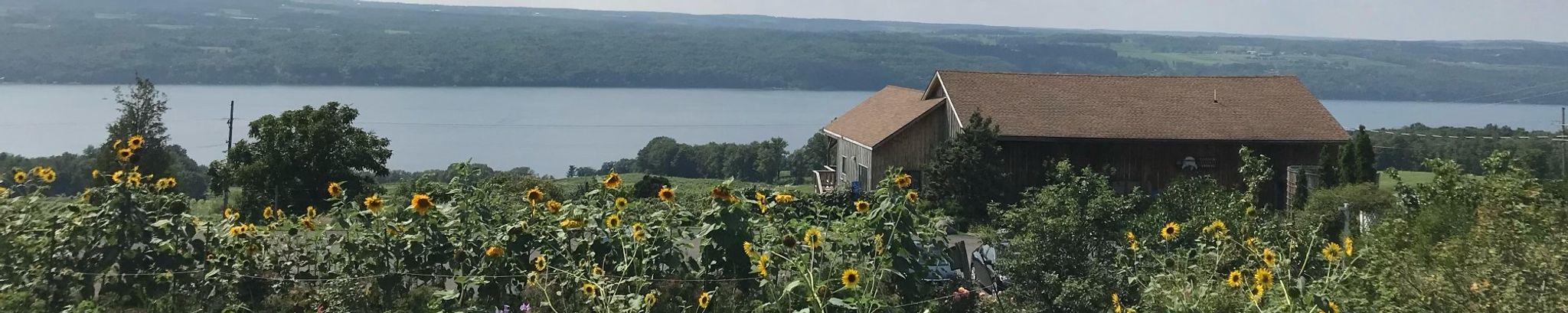Cover photo for Betty Reno's Obituary