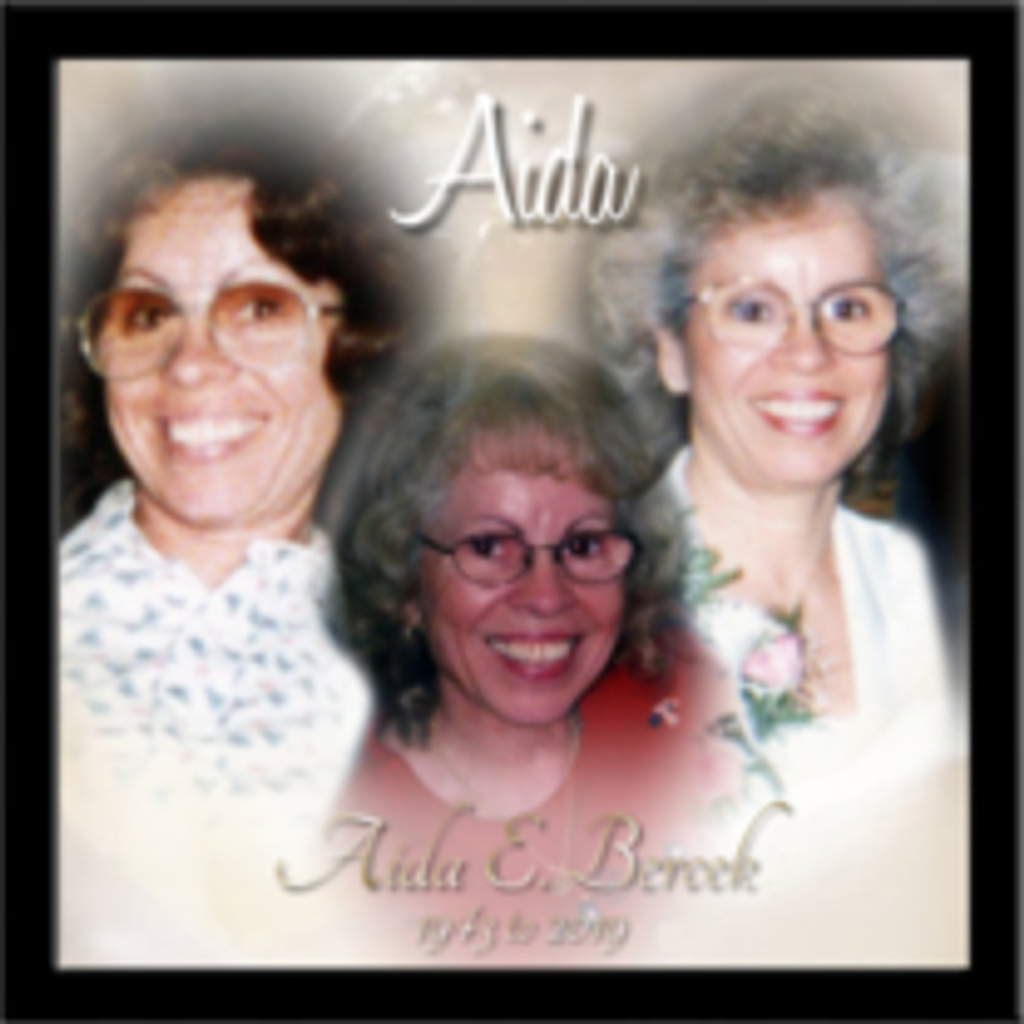 Aida E. Bercek