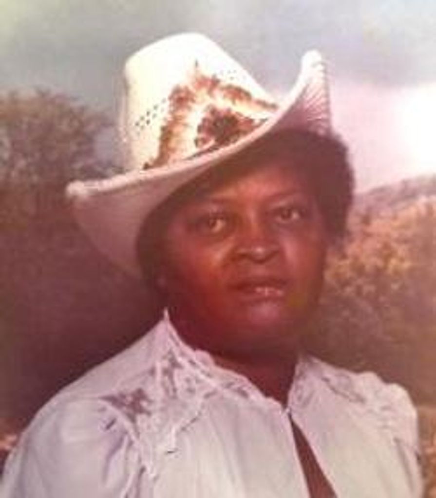 Evelyn Cleary Profile Photo