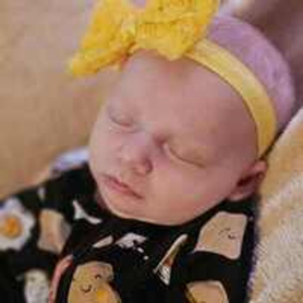 Willow Star Robinette Profile Photo