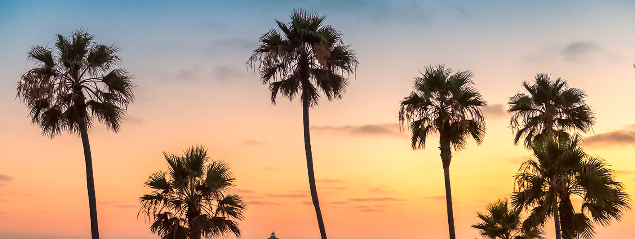 Cover for Mary Catherine Wesner Beach's Obituary