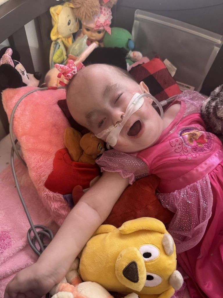 Aurora Ann Larson Profile Photo