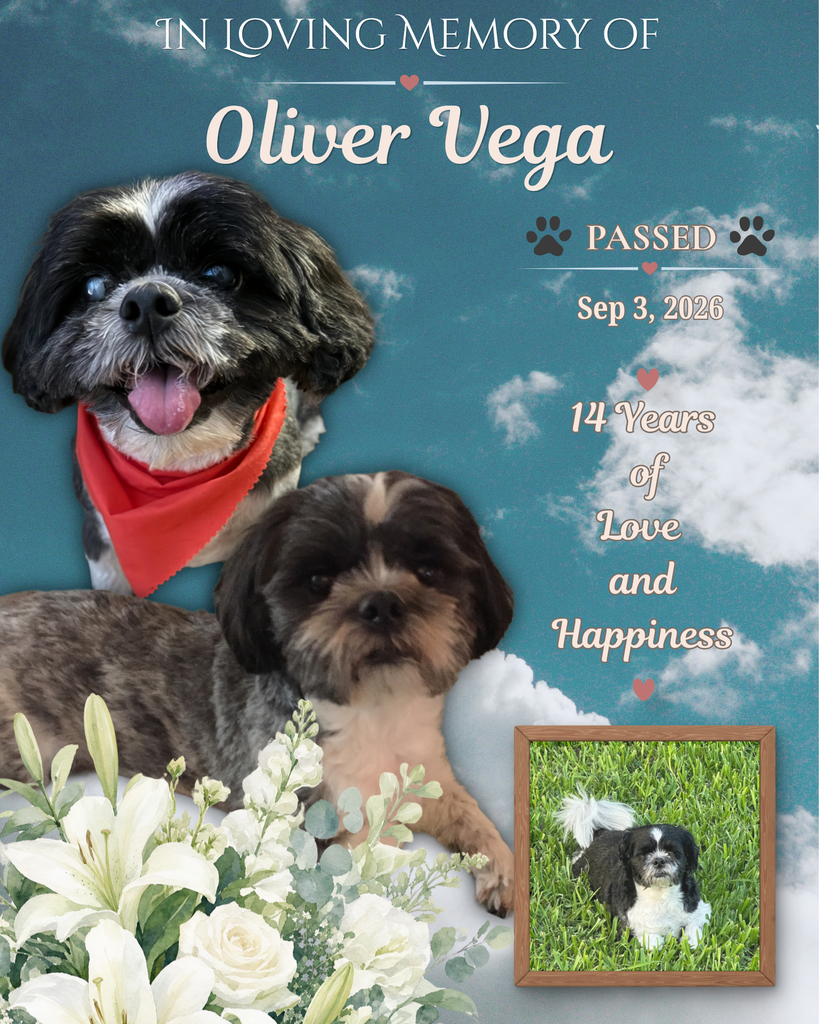 Oliver Vega Profile Photo