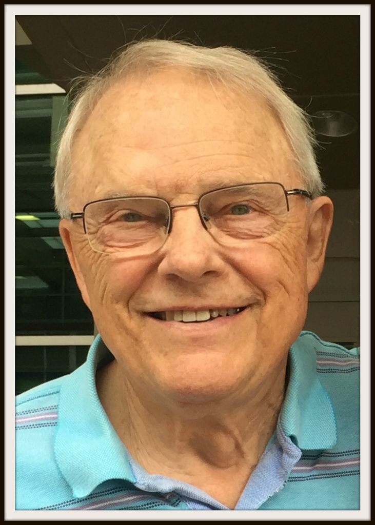 Don Bauer