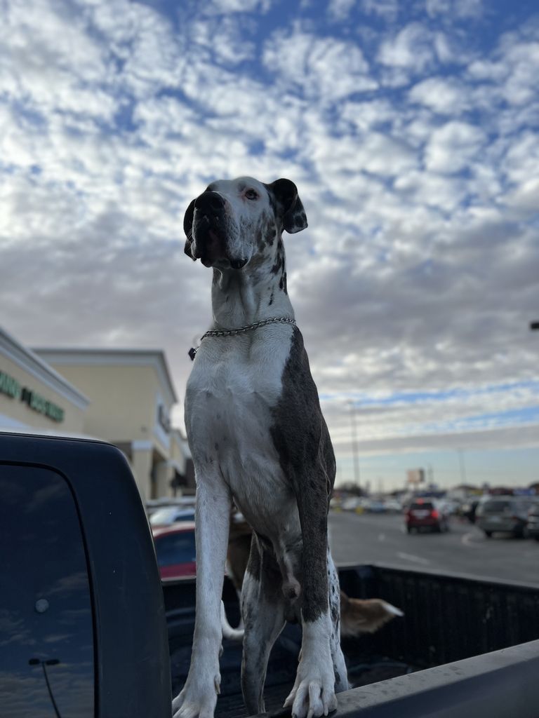 Denver Profile Photo