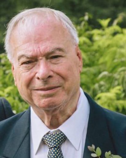 Serverio Novielli Profile Photo