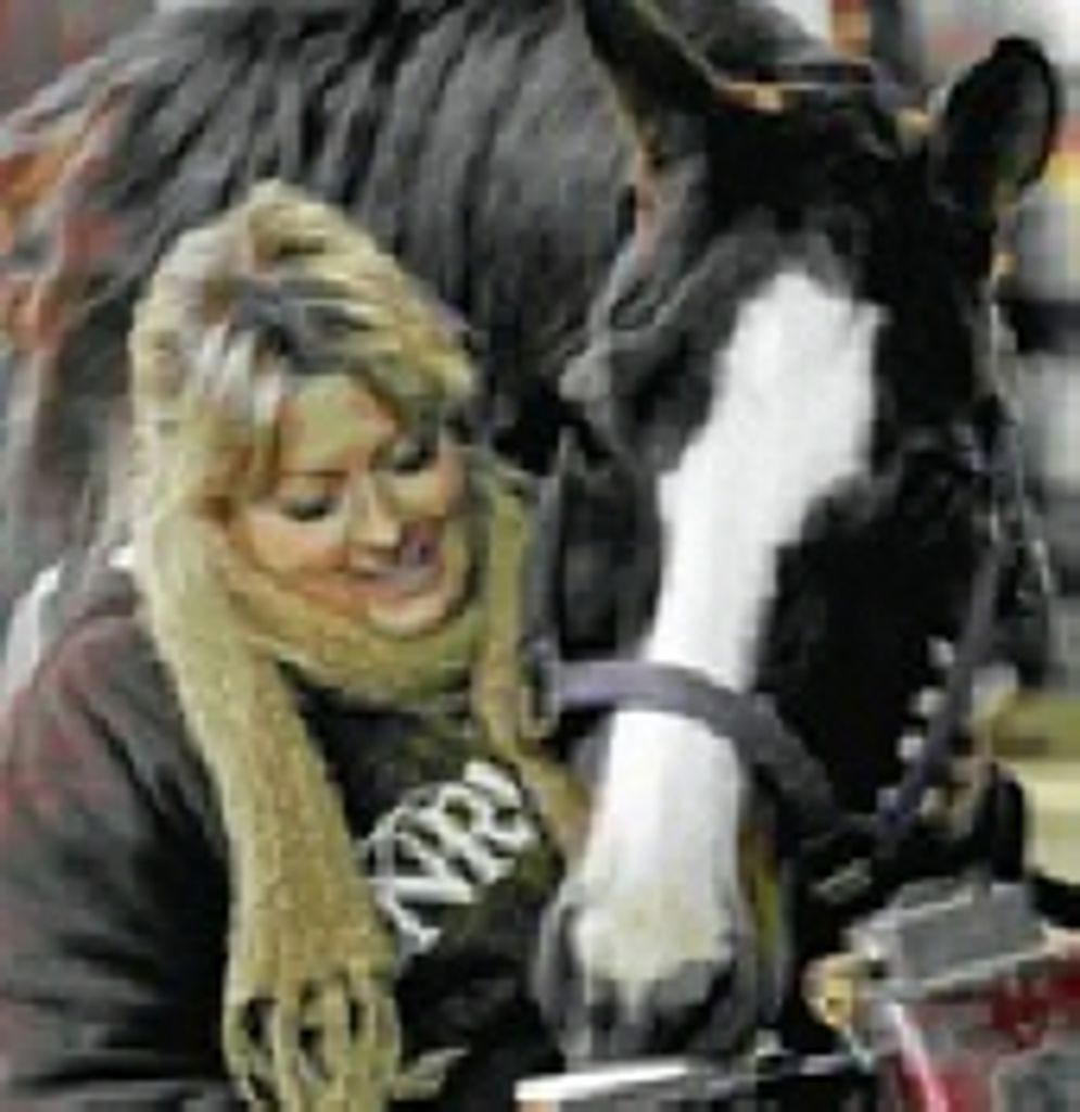 Terry Lynn Howell - Beck