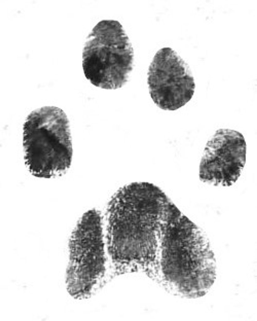 George Thewes Profile Photo