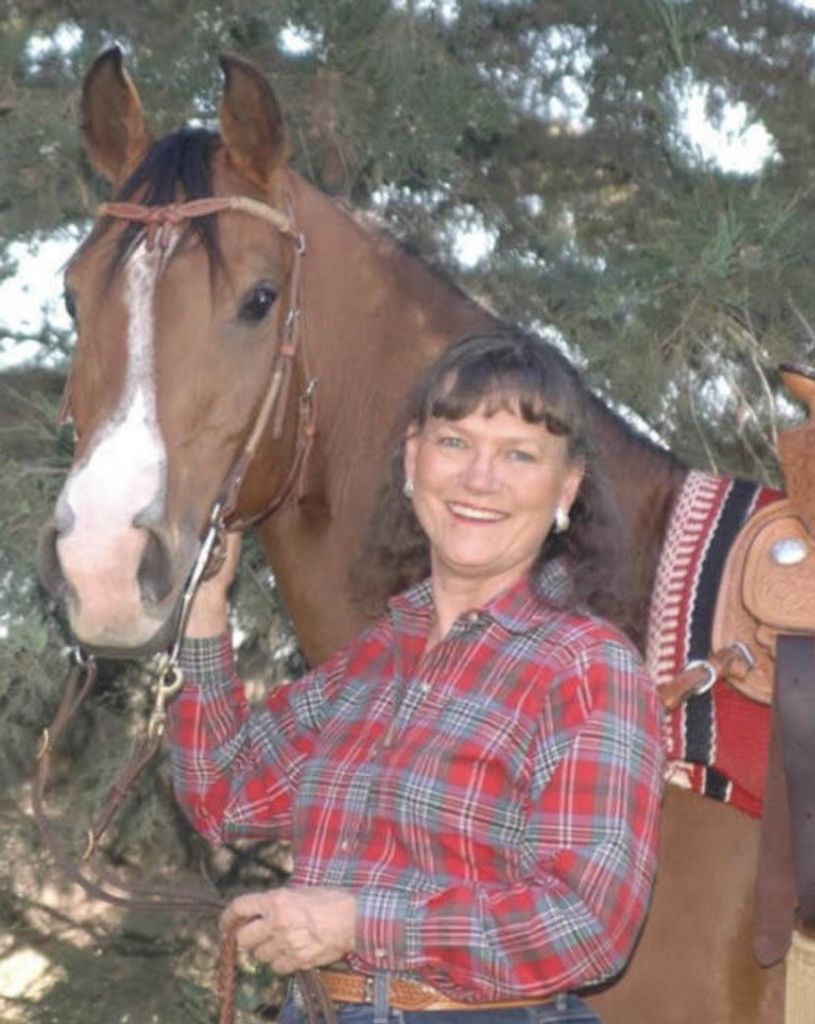 Sandra Lee (Bower)  Smith