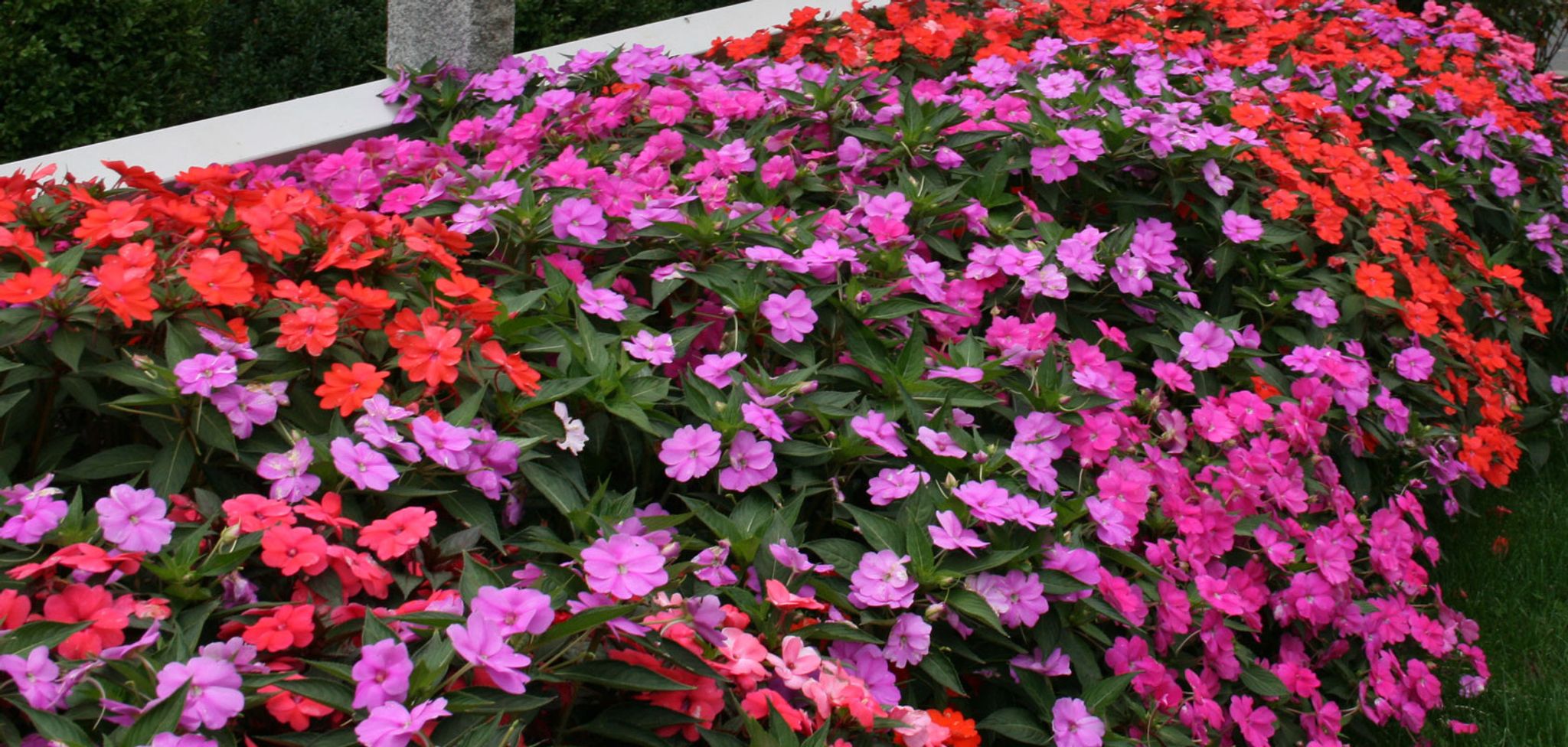 Cover photo for Anne M. Gemmell's Obituary