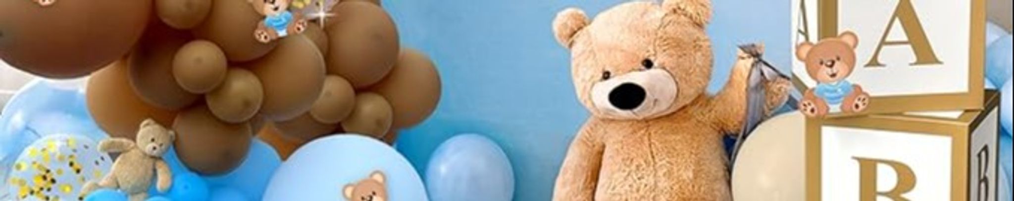 Cover photo for Baby Boy Benji Pardo's Obituary