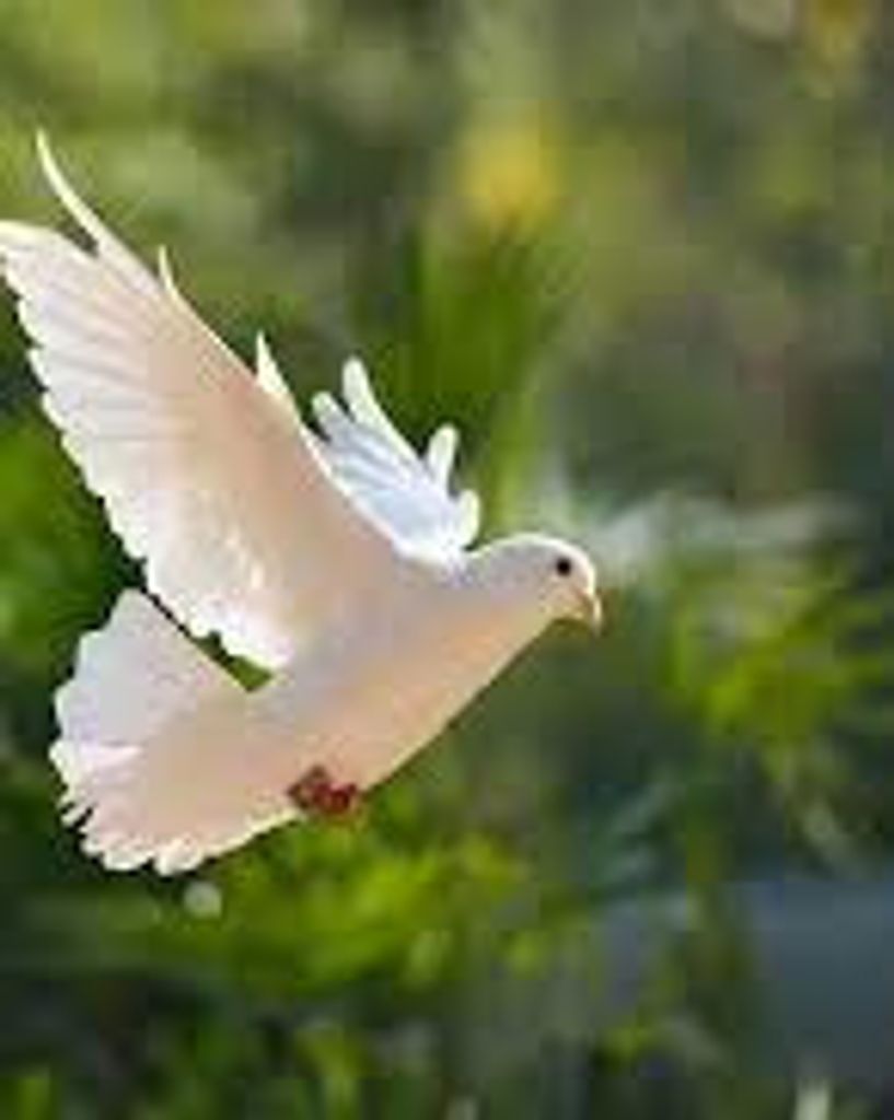 Shirley Ann Miller Chaney Profile Photo