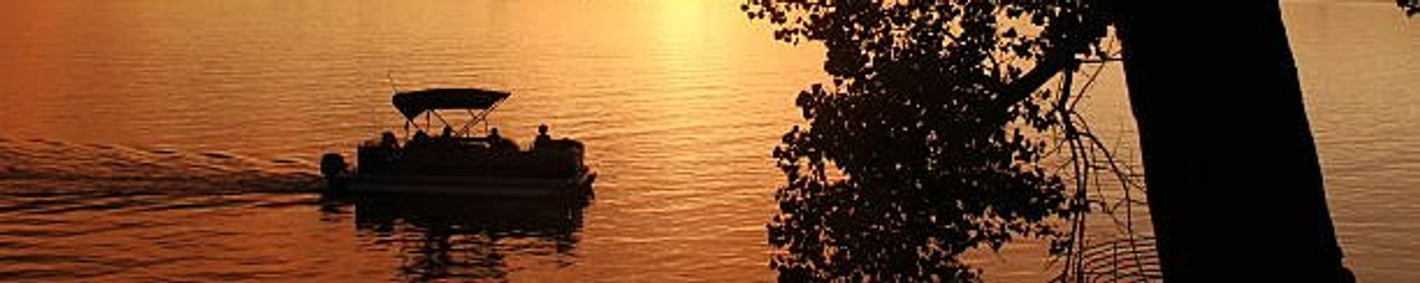 Cover photo for Rosemary Coon's Obituary