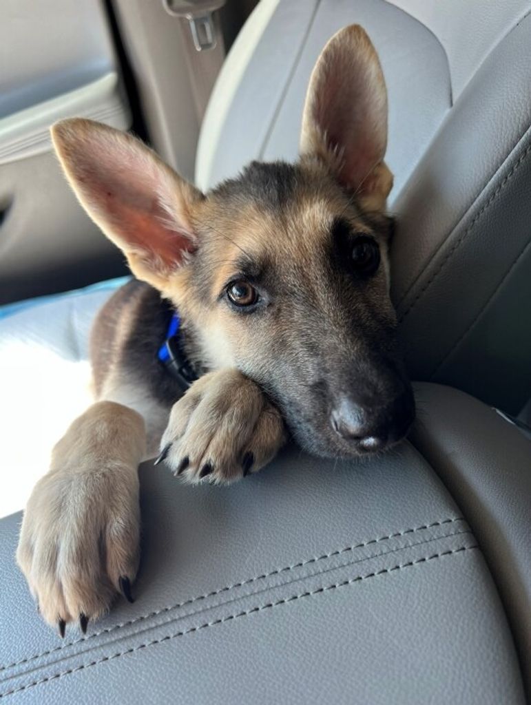 Oakley Moody