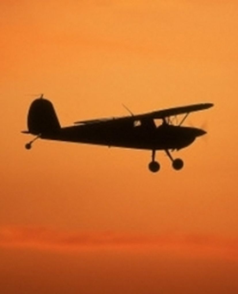 Janis L Tarman Profile Photo