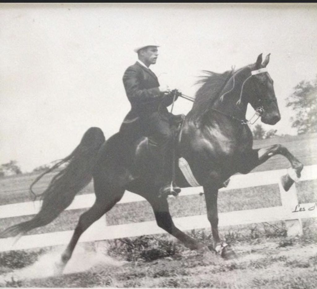 George Bicking Livingstone