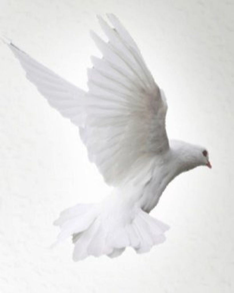 Shirley Sylvia Cornell