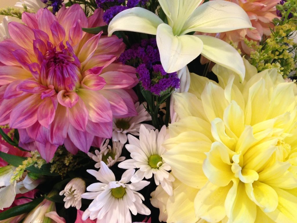 Brenda May (Mays) Jackson