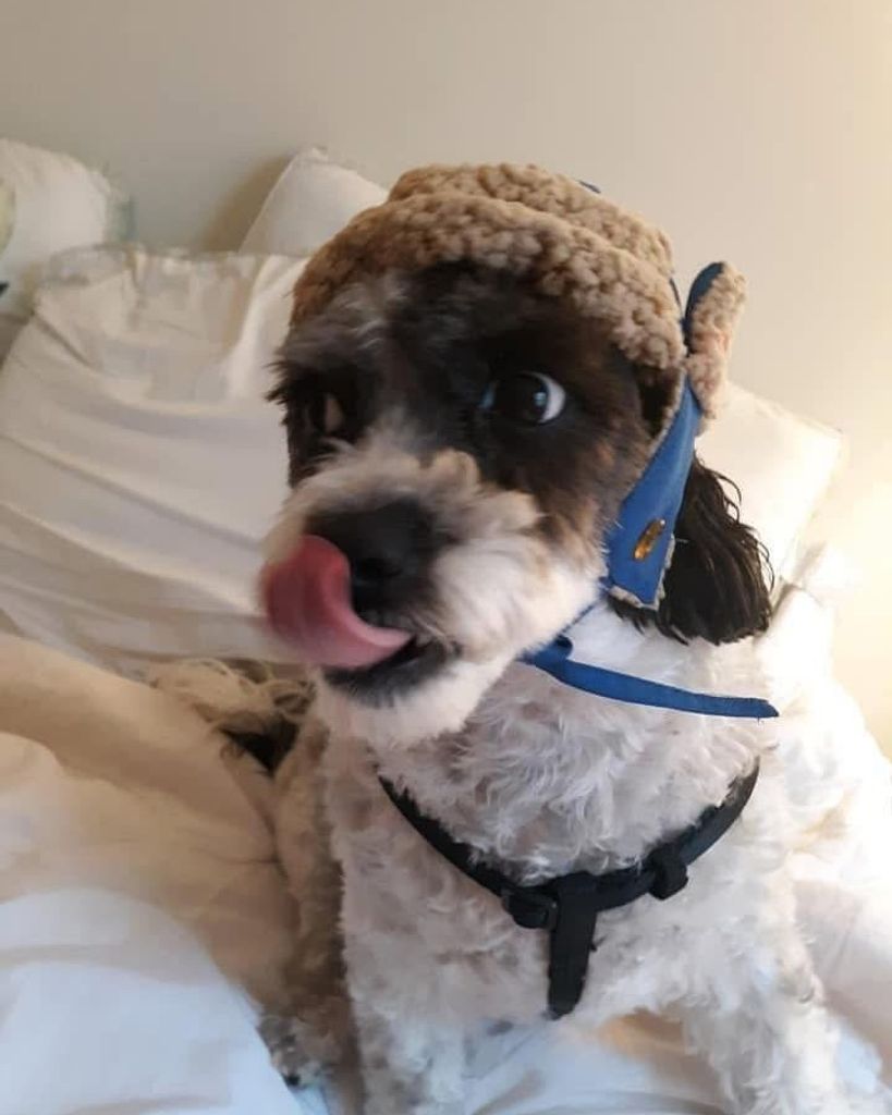 Maxwell Carlos Bishop Profile Photo